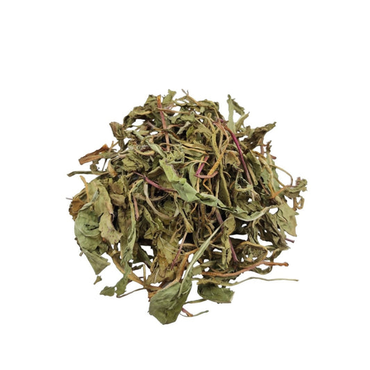 Dandelion Leaves Loose (Taraxacum officinale)