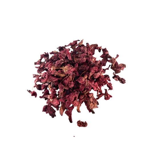 Dried Rhododendron Buransh Flower