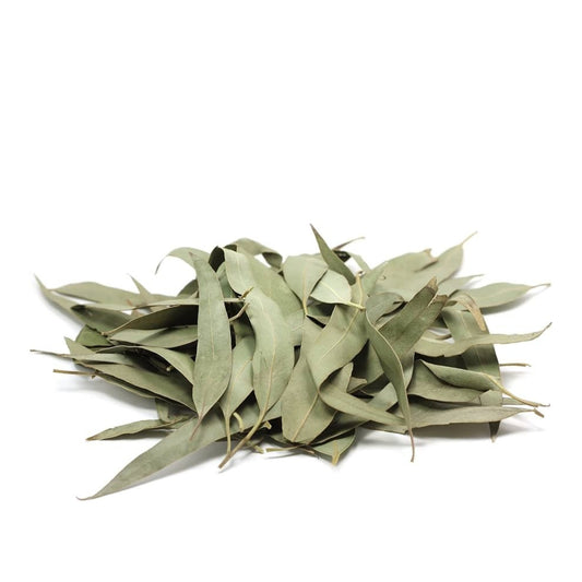 Dried Eucalyptus Loose Leaves (Eucalyptus globulus)