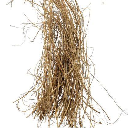 Dried Vetiver Root (Whole)