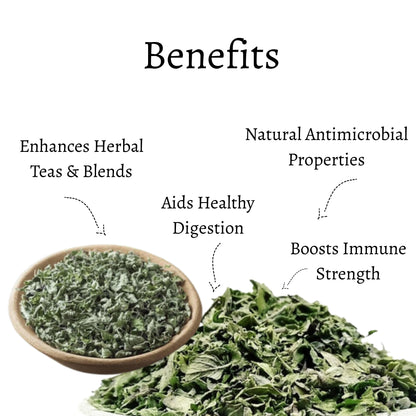 Dried Oregano Whole Leaves (Origanum vulgare)