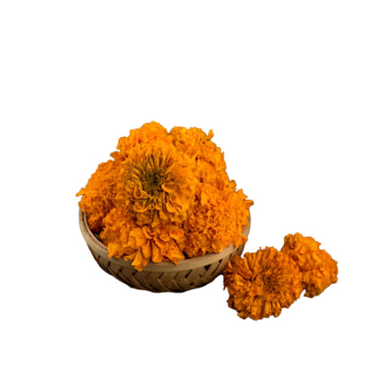 Dried Marigold Flower