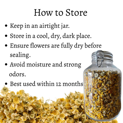 Dried Chamomile Flower Plain