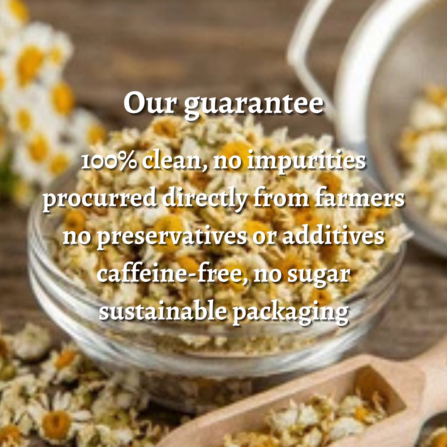 Dried Chamomile Flower Plain