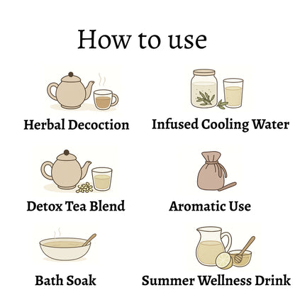 Dried Vetiver Root (Whole)