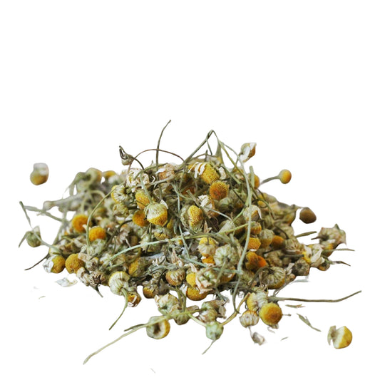 Dried Chamomile Flower Himalayan