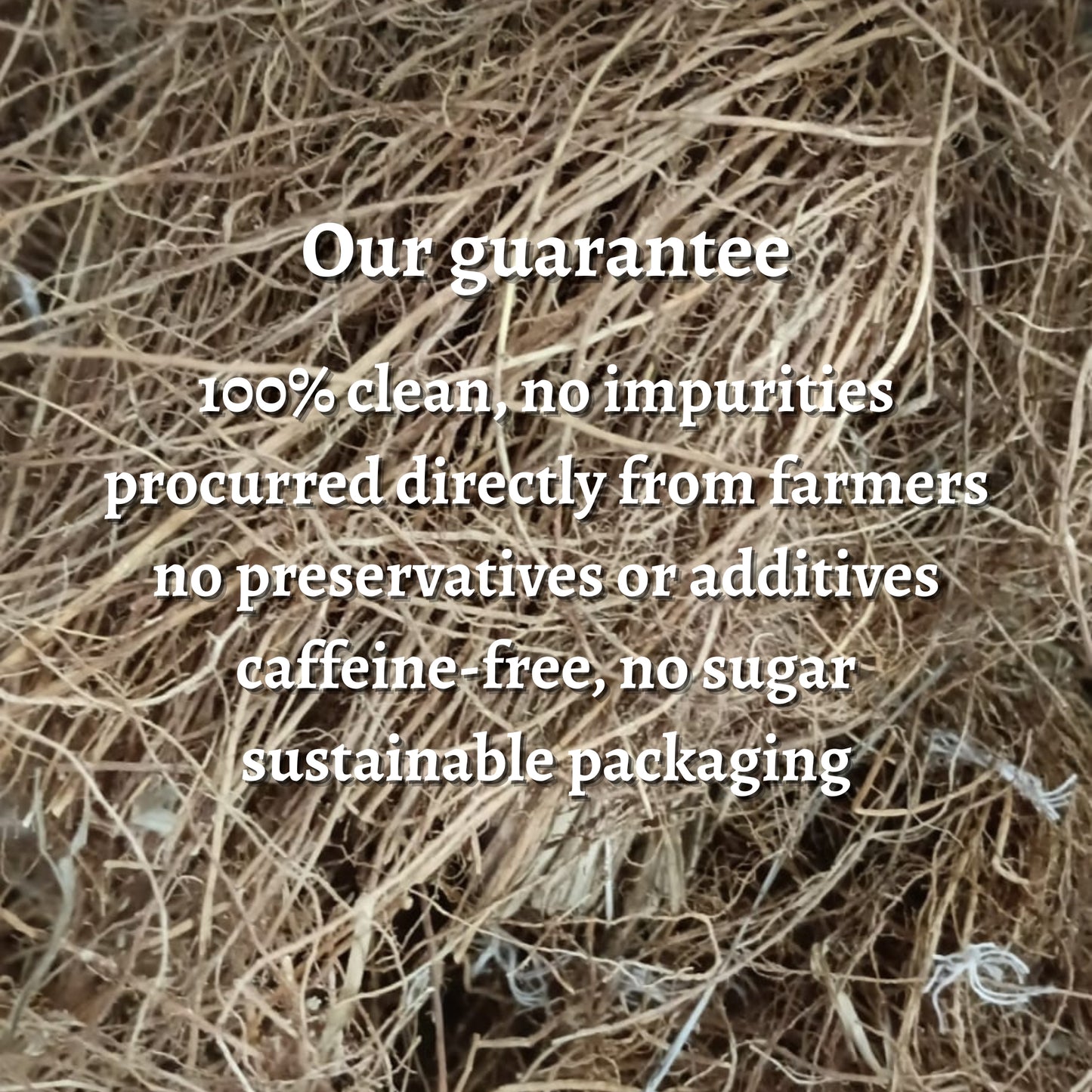 Dried Vetiver Root (Whole)
