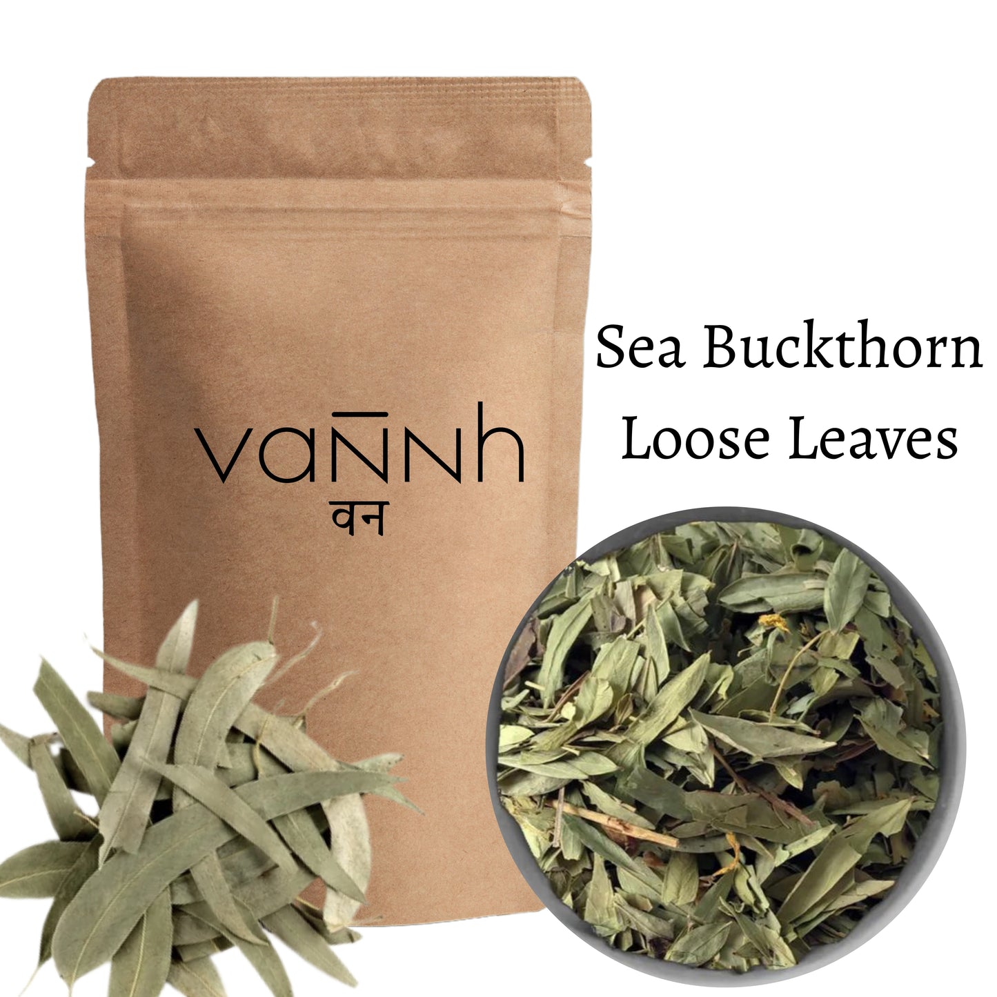 Sea Buckthorn Leaves (Hippophae rhamnoides)