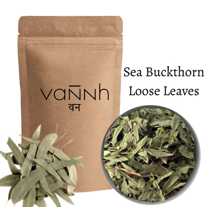 Sea Buckthorn Leaves (Hippophae rhamnoides)