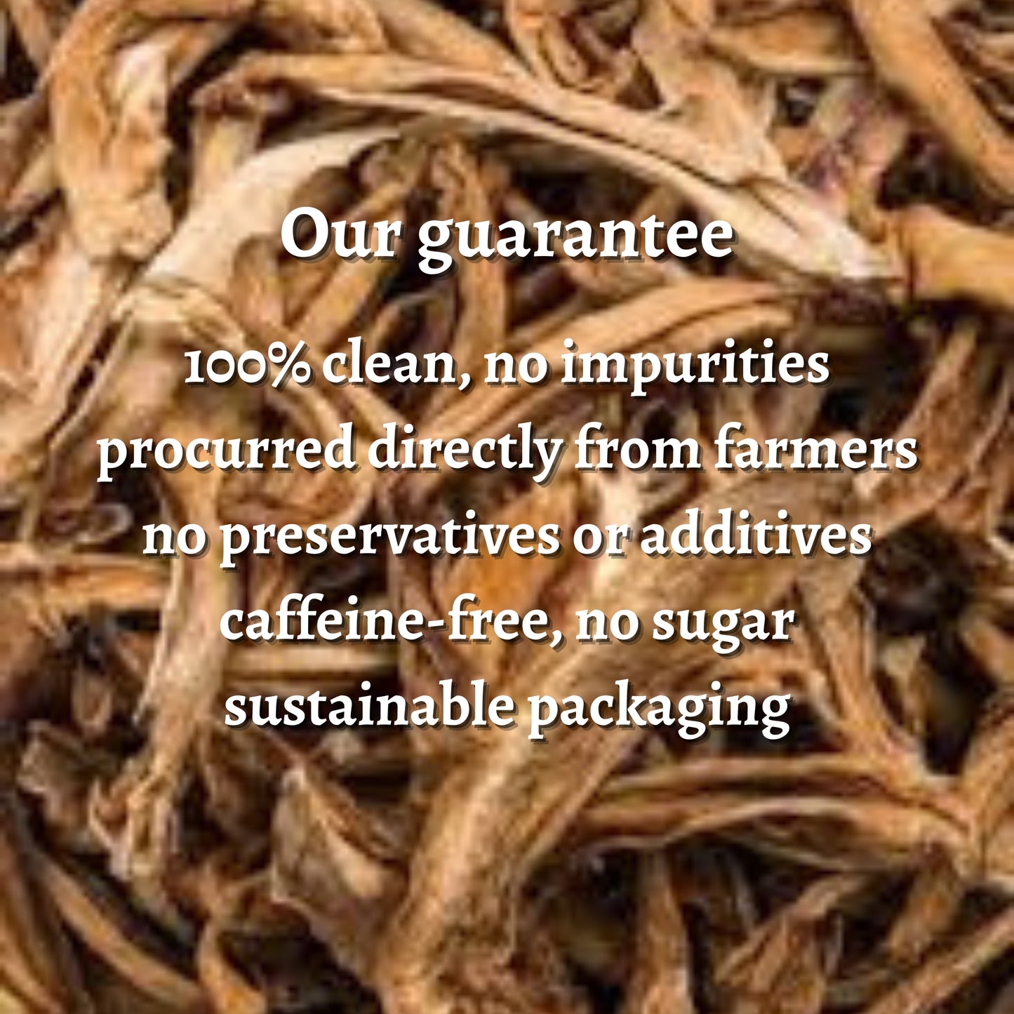 Raw Mango Solar Dried Fruit (Slices)