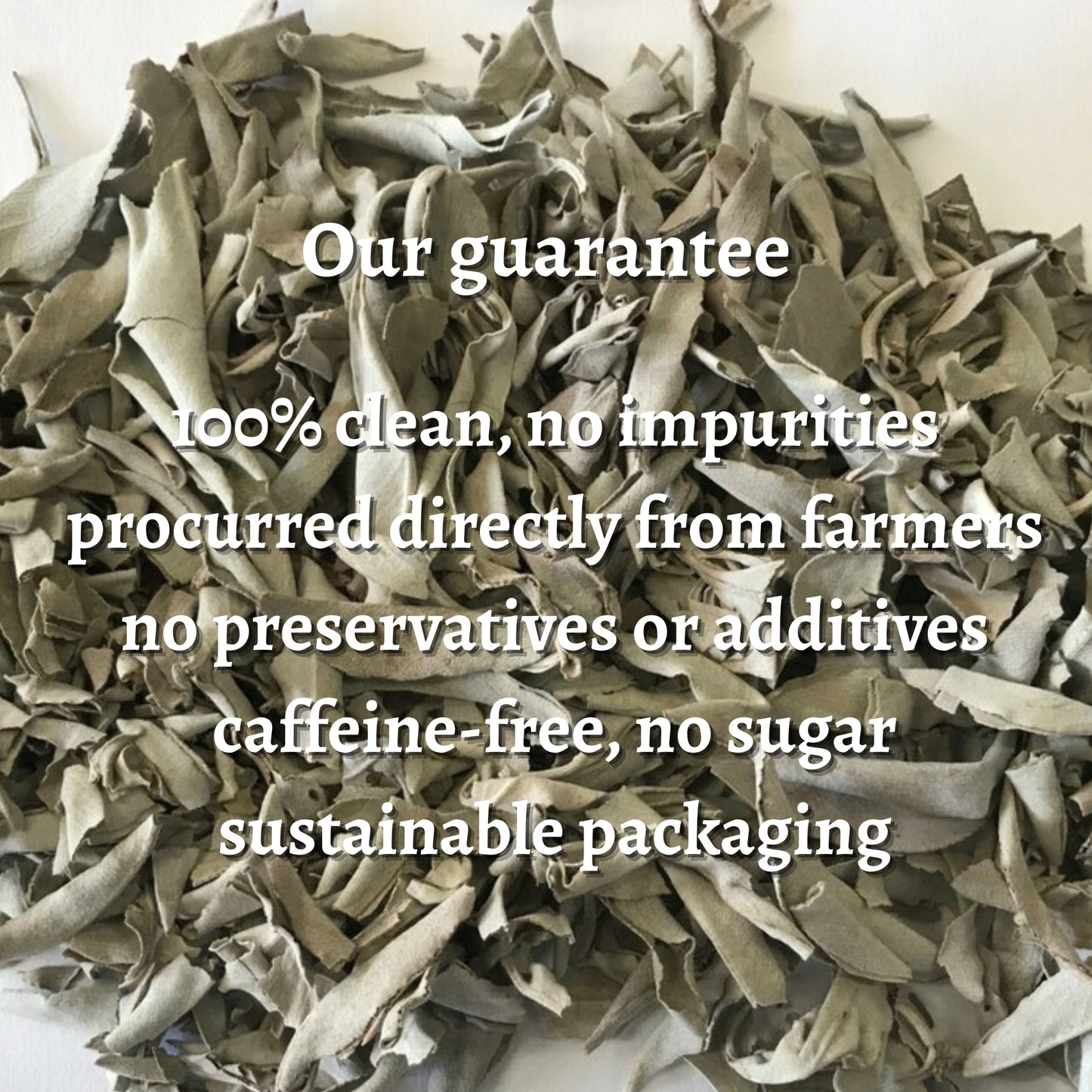 Sage California Loose Leaves (Salvia apiana)