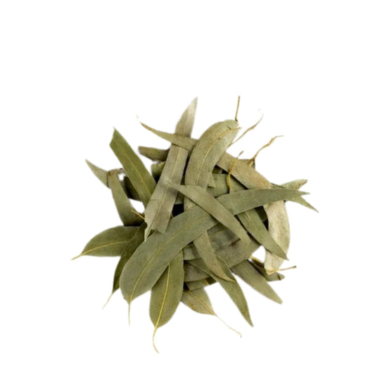 Sea Buckthorn Leaves (Hippophae rhamnoides)