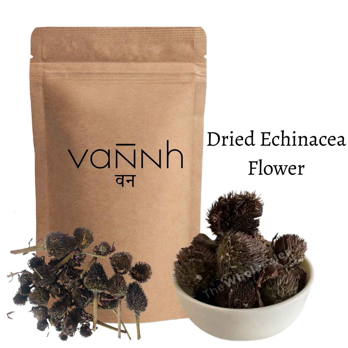 Dried Echinacea Flower