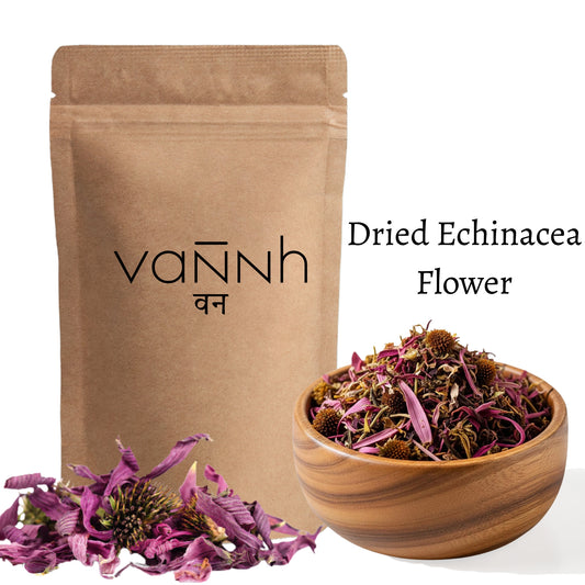 Dried Echinacea Flower