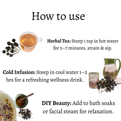 Dried Echinacea Flower