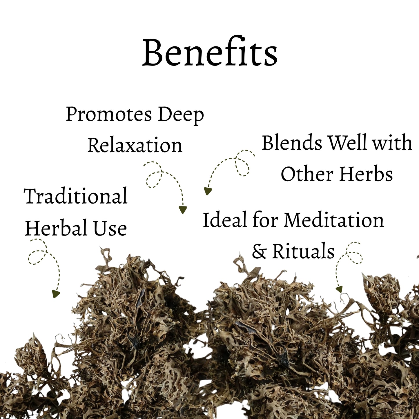 Oak Moss Loose Leaves (Evernia prunastri)