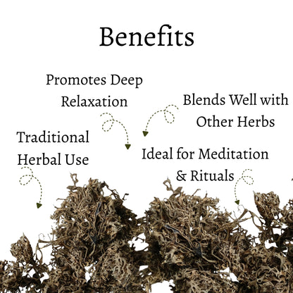 Oak Moss Loose Leaves (Evernia prunastri)