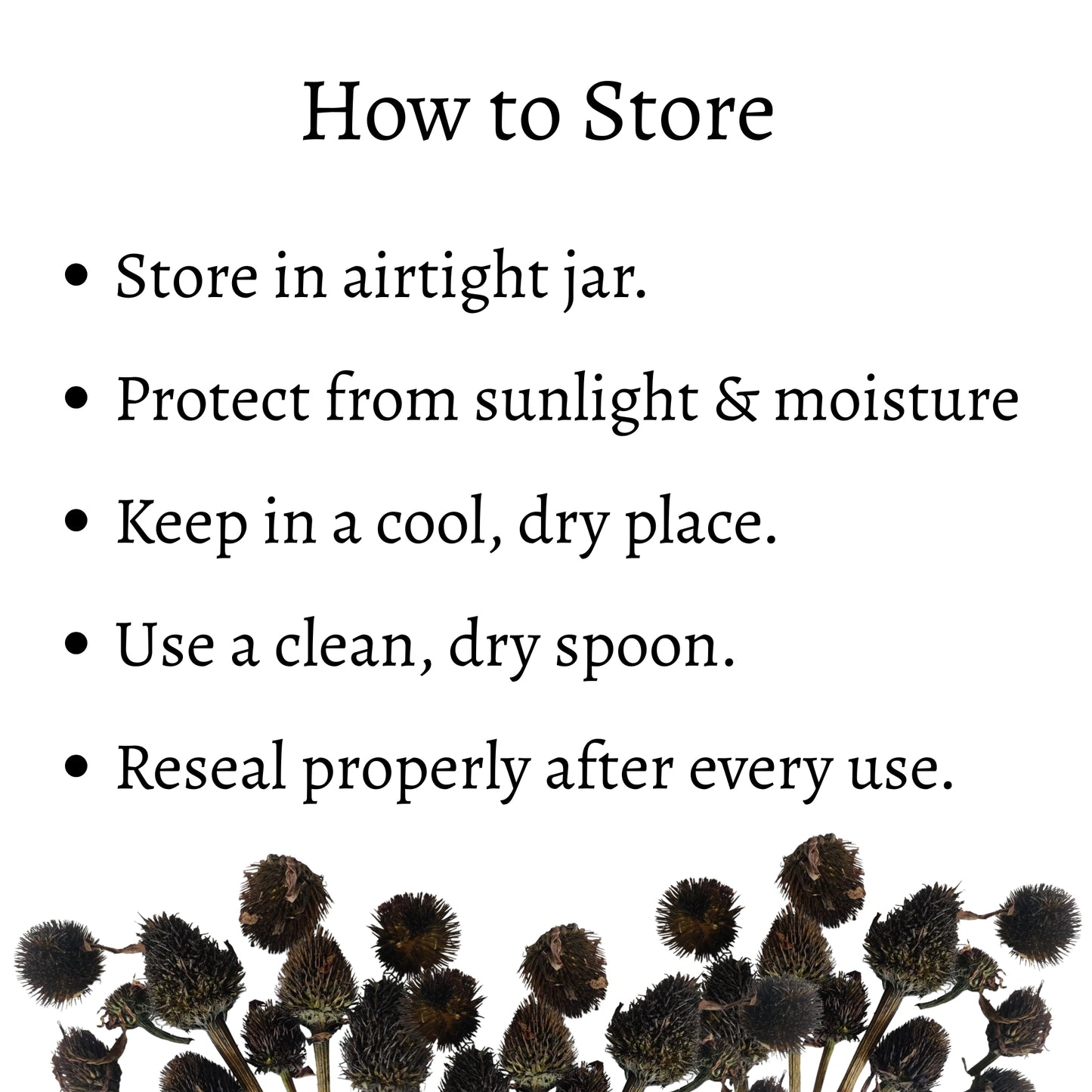 Dried Echinacea Flower