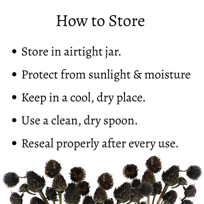 Dried Echinacea Flower