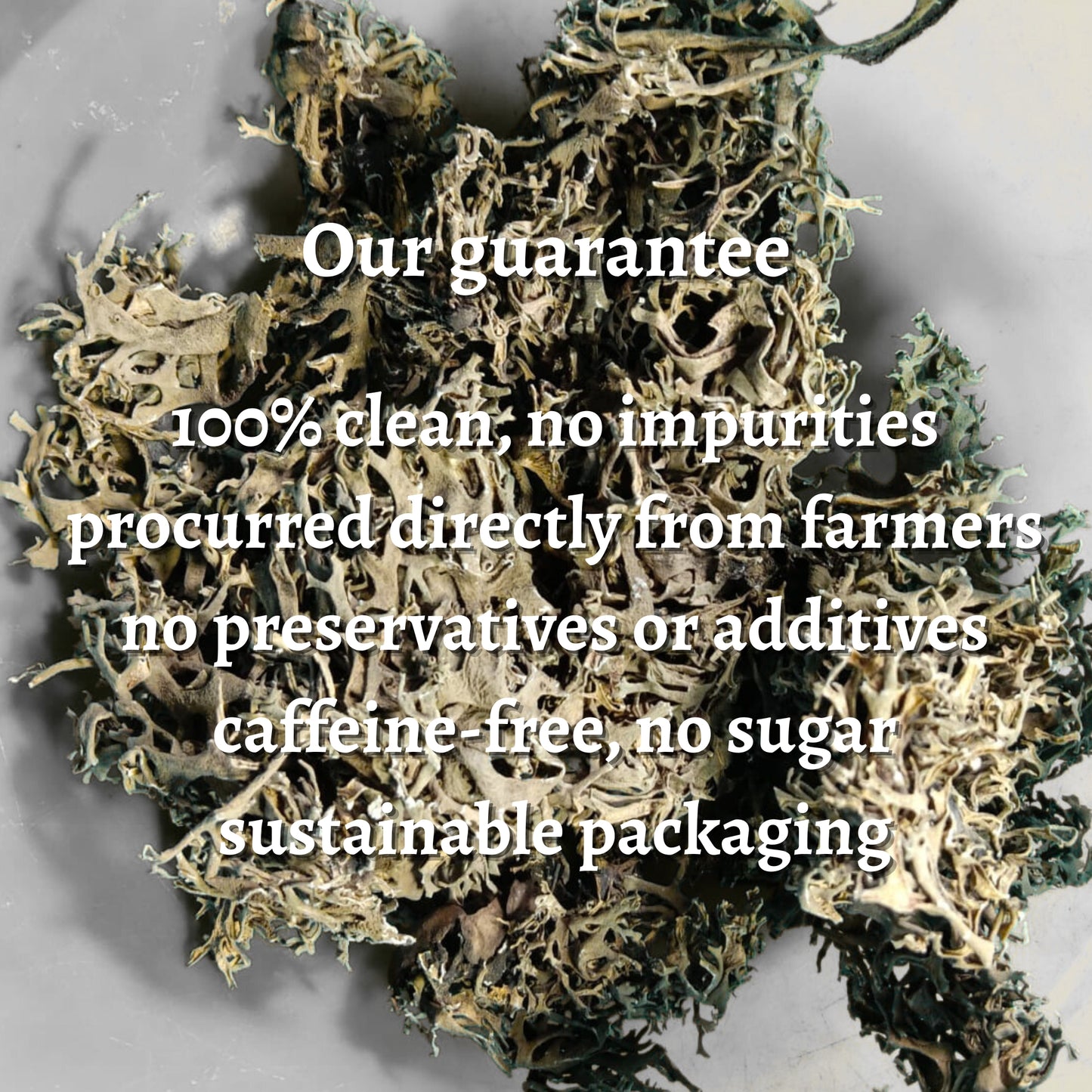 Oak Moss Loose Leaves (Evernia prunastri)