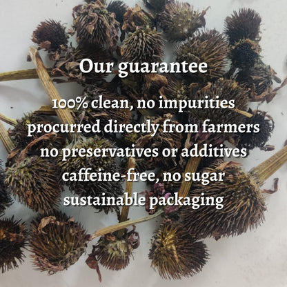 Dried Echinacea Flower